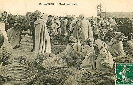 marchands d'alfa
