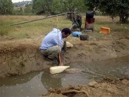 Irrigation