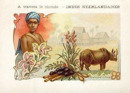 indesneer