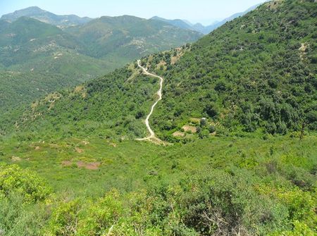bejaia