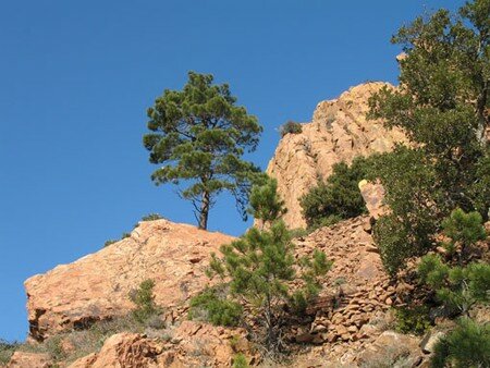 paysage_medit