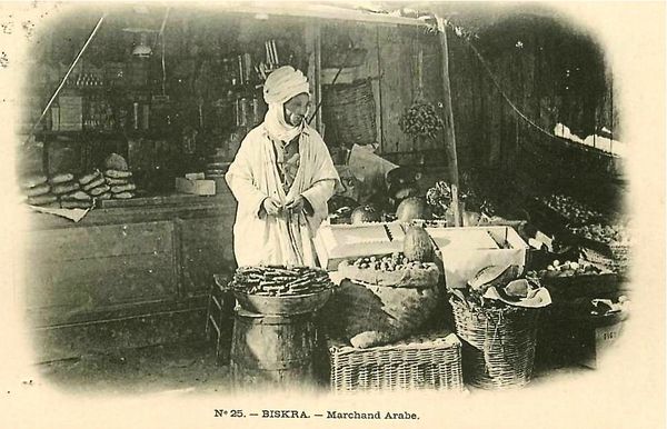 Biskra 15
