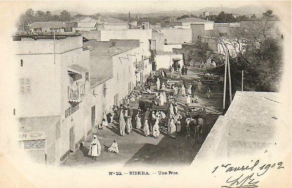 Biskra 23