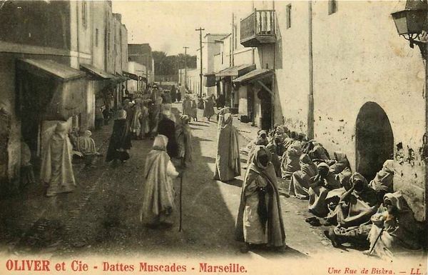 Biskra 4