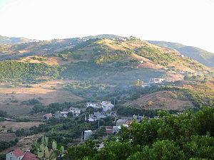 PIC_0502_copie_1