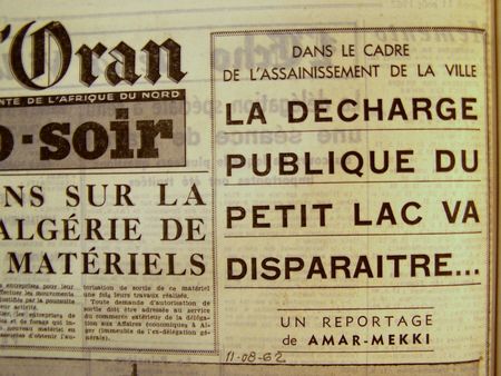 echoran19620708017