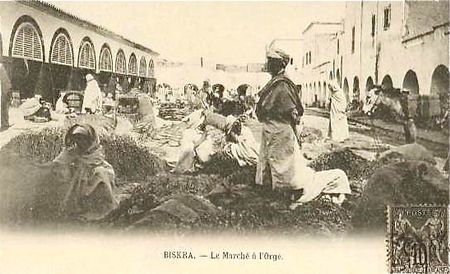 Biskra 19