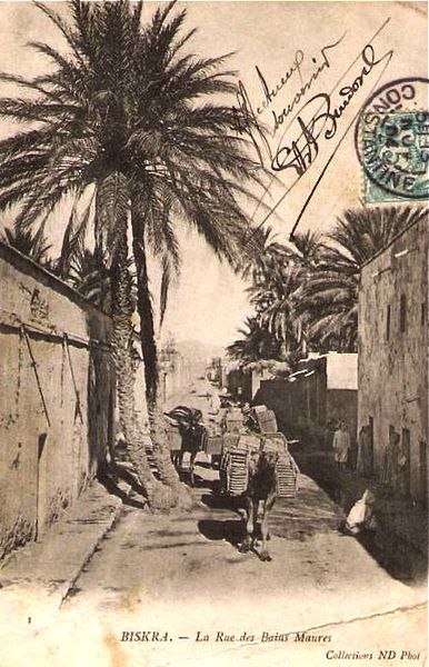 Biskra 37